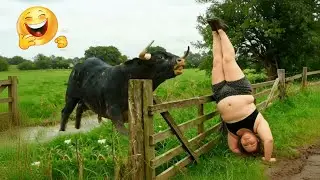 TRY NOT TO LAUGH 😂 Best Funny Videos😂 Memes PART 14