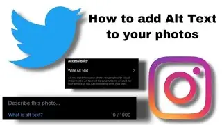 How Alt Text Allows Blind People to See Pictures