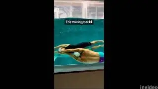 WOW SWIMMING TECNICS