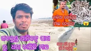 🤩🐠ଗବକୁଣ୍ଡ ନୂଆ ନଈ ଆନିକଟ ରୁ ଧରା ଚାଲିଛି ମାଛ😱🐠🐟🦐#youtube #vlog 