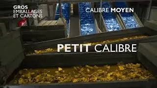 02 l Le tri par taille et par forme des emballages et papiers