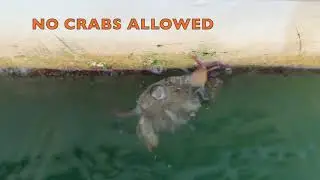 UseTheBoat Cruises