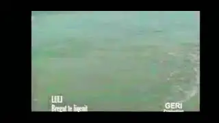 Luli Qose  Bregut te liqenit   Material i vitit 2007