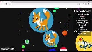 Agar.io -11.6k and not the first place?!