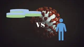 Misinformation in the Covid Era| In vitro vs. In vivo (Episode 1)