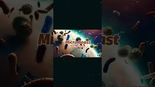 Chicken&rsquo;s blood under microscope|micro beast hunter #microscopic #science