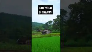 Cafe Yg Bisa Kecek, Viral Di Trawas ( Petung Park )  #cafe #viral #gunung #sawah #healing #trawas