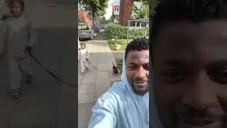 K&ouml;nnt ihr Salo bitte &uuml;berzeugen, dass er uns endlich ein Haustier erlaubt?