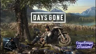 Days Gone [PC 4K max settings]