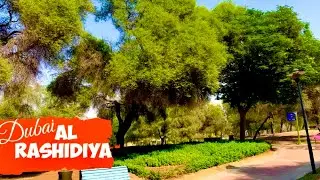 AL RASHIDIYA || 🚗Road trip Series || Dubai || ഹരിതാപവും പച്ചപ്പും 🏡🏠🏘🌳🌳🌴🇦🇪🕌🛣