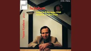 Sonata in B-Flat Major, D. 960: Andante sostenuto