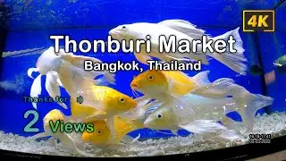 Thonburi Market on Saturday, Bangkok, Thailand