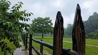 Gentle Rain in a Silent Village  Countryside Nature Sounds (No Music)