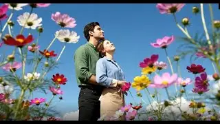 New royal romance film to be released in 2026 The Royal Garden