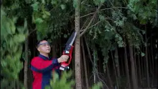 How Kereal 8 inch battery chainsaw works