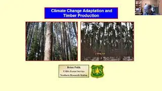 Palik: Adaptive Silviculture for Climate Change: Lessons for timber-oriented managers