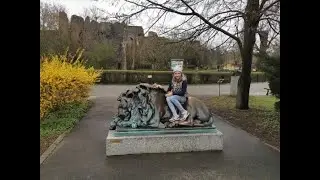 Zoo Warszawa z dziećmi akwaria i rybki