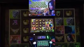 Day 80: Betting $1 Million to WIN $1 Million #casino #slot #jackpot