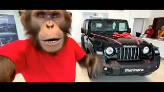 Finally! Maine vlogging se Thar kharid lee 🥰 || Ai monkey Thar vlog || Ai monkey video