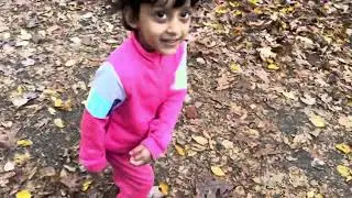 Burke lake park ( fall season)