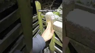 Реальная история о жизни #наприроде #холмы #горы #здоровье #сердце #здоровьесердца #фитнес #Уэльс