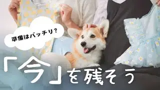 愛犬と一緒に家族写真、最高の思い出になりました。【コーギー犬】