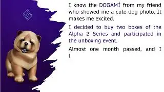 Dogami story