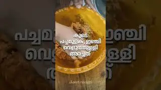 CHIKCEN NUGGETS | ചിക്കൻ നെ​ഗെറ്റ്സ് | CHICKEN | COOKING | SPICY | JUICY