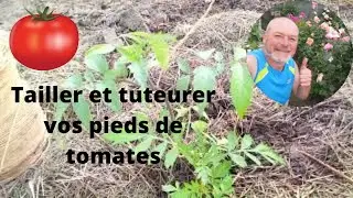 Conseils jardin : Tuteurer vos  tomates en serre ?