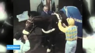 LA LEGENDE OURASI
