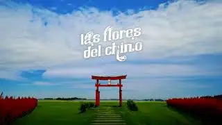 LAS FLORES DEL CHINO - “FLORECER” FULL ÁLBUM 