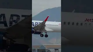 JetSMART (Maned Wolf Livery) A320 landing at [SCL].