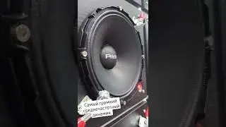 solo 300 neo