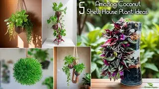 5 Amazing Coconut Shell House Plant Idea & Best Out of Waste DIY Easy House Plant Idea//GREEN PLANTS
