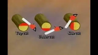 1995 Basic Trail Maintenance (USDA FS)