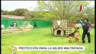 ADIESTRAMIENTO PERROS PROTECCI&Oacute;N MUJERES MALTRATADAS