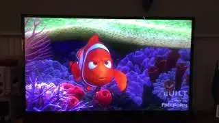 Finding Nemo scene Nemo gets taken away