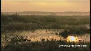 Hoffnung f&uuml;r das Moor  - Im Schw&auml;bischen Donaumoos Naturfilm Part1