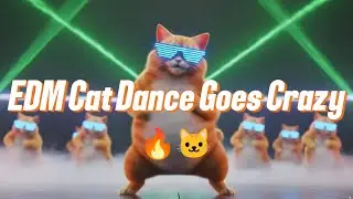 EDM Cat Dance Goes Crazy 🔥🐱 | Viral Cat Party 2026