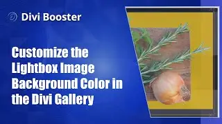 Customize the Lightbox Image Background Color in the Divi Gallery