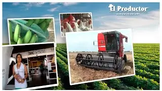 &iquest;Qu&eacute; es El Productor TV?