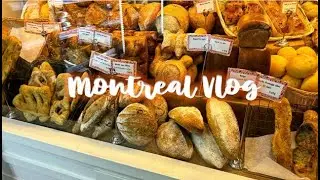 MONTREAL VLOG | Bagels, Museum of Illusions, OASIS Immersion