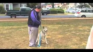 Expert Dog Trainer: Larry Hill's Imprinting Tips 