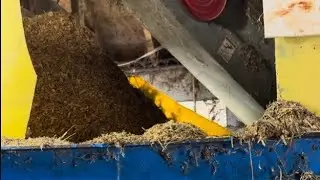 Dairy Cow TMR Feed | How We Make Our Feed Mix