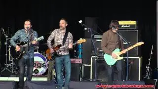 Mr Brightside - Repertoire Dogs cover Linkfest 2015