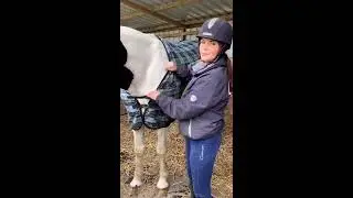 How to Fit a Stable Rug on Your Horse