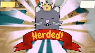 Herding Cats Is Hard | Cat Herder