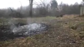 Kljevci
