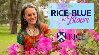 The history of azaleas at Rice is tied to the history of Houston