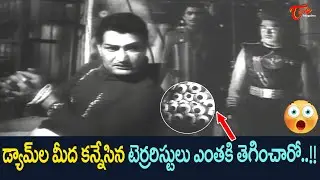 NTR Ultimate Action Movie Scene | ప్రాణాలకు తెగించి టెర్రరిస్టుల బాంబు బ్లాస్టింగ్ ని.. | TeluguOne
